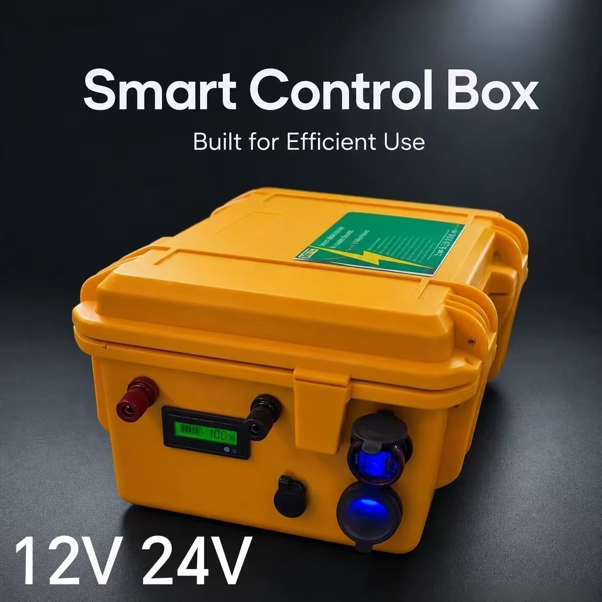 12V 24V 100Ah 120AH 150AH 200AH 300Ah 400Ah Lifepo4 lithium iron phosphate battery pack bluetooth BMS for boat solar system 123