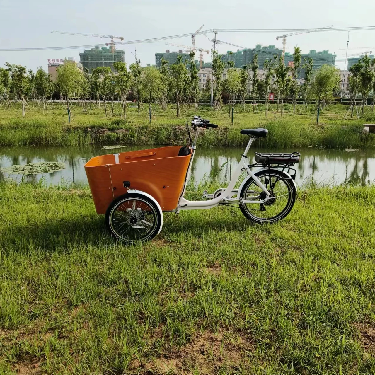 Europe Electric cargo trike CE family bike electric cargo bike three wheel electric cargo tricycle