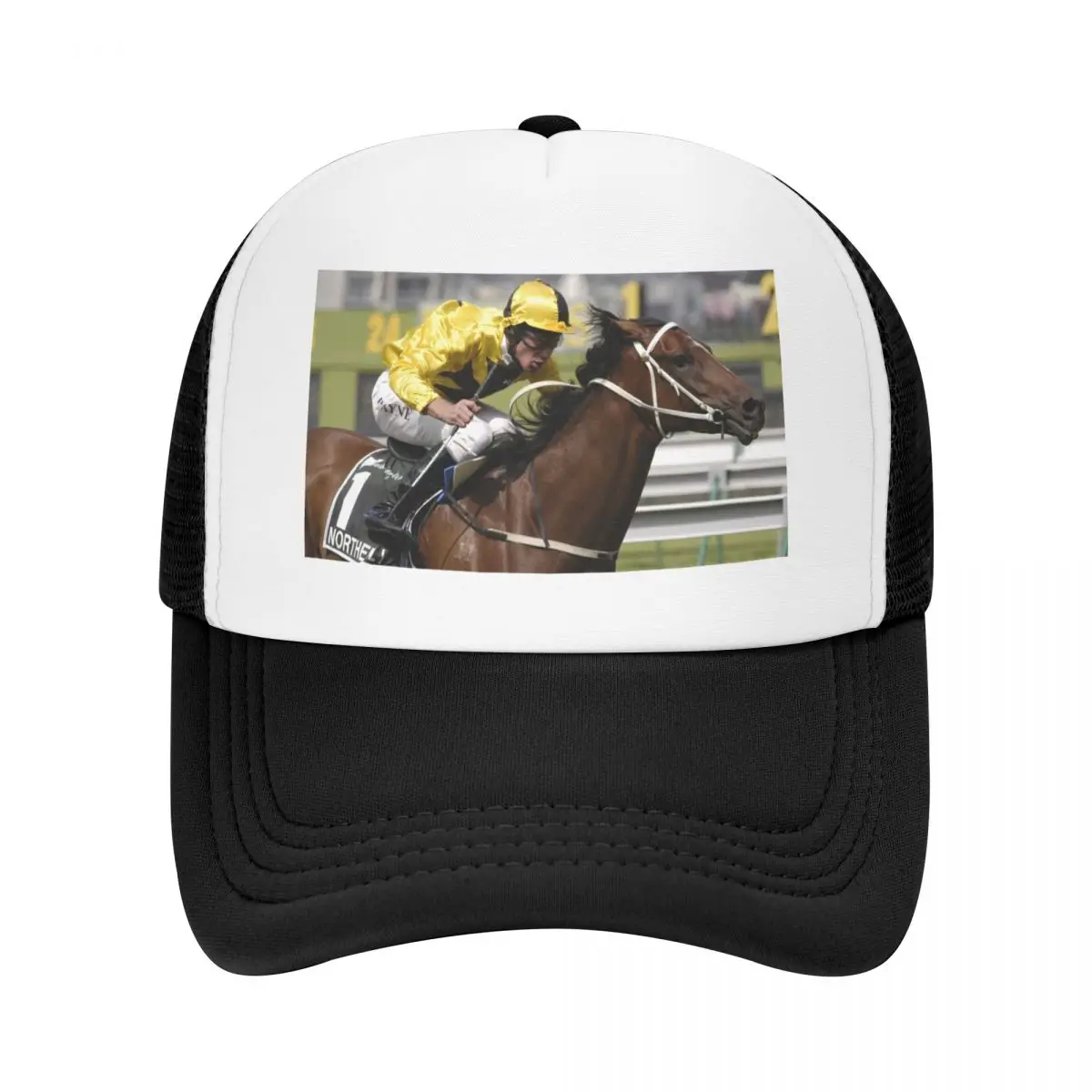 Champion Australian racehorse Northerly. Baseball Cap Ball Cap Kids Hat Baseball For Men Women's