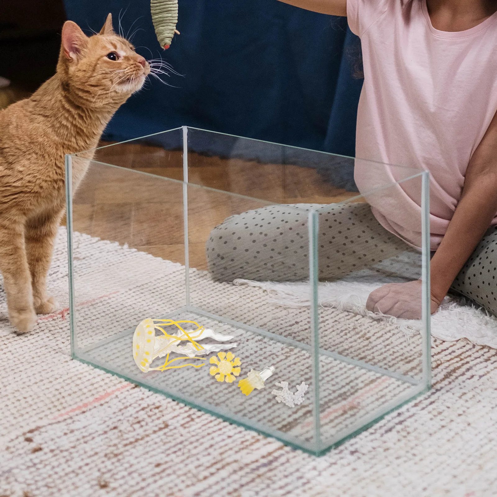 

Jellyfish Ornaments Animals for Kids Science Kit Life Cycle Figurines Plastic Game Learning Toys Child Cognitive Model