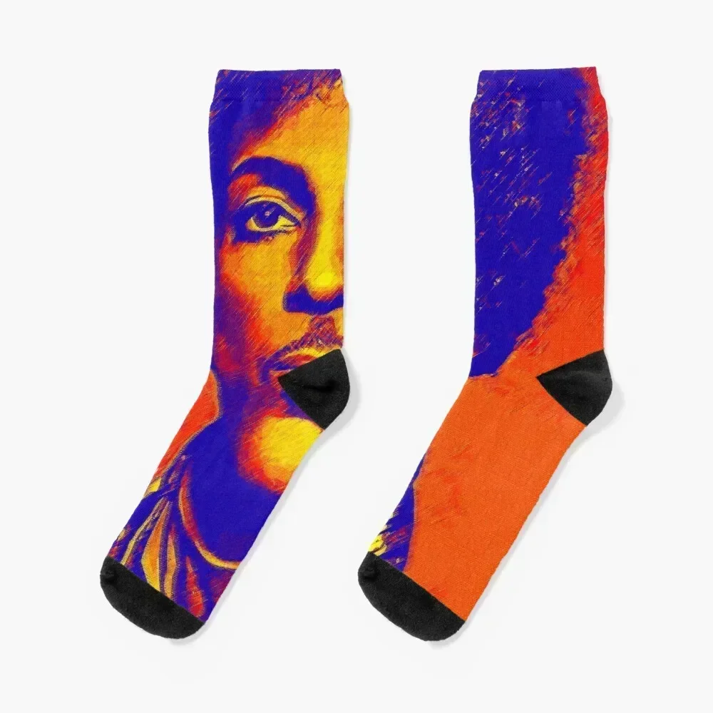 

American singer digital painting Socks FASHION Stockings christmas stocking Socks Male Women's