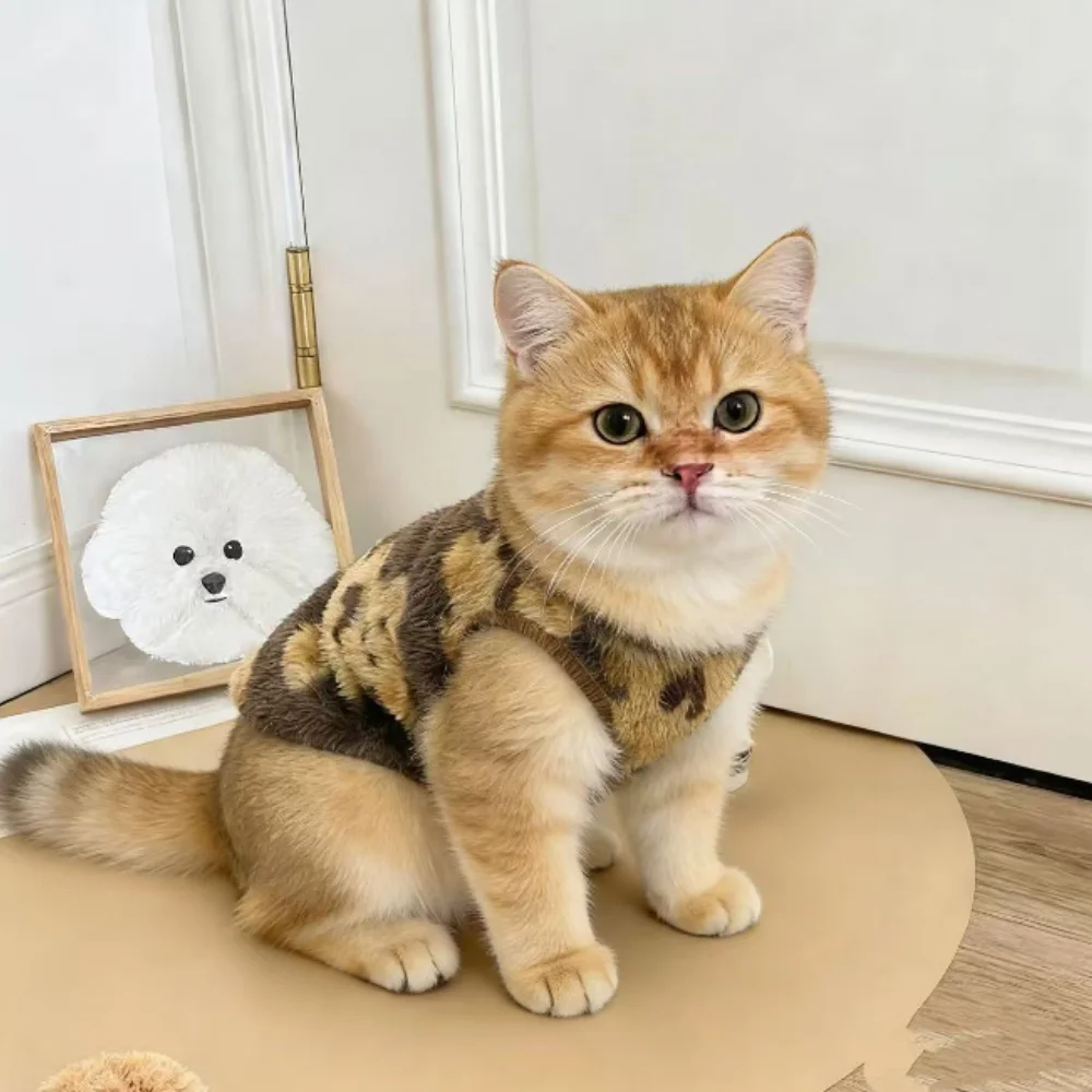 Ropa de invierno para gatos, suéter cálido antidesprendimiento para mascotas, conjunto suave y bonito para gatos británicos de pelo corto, Ragdoll, gatos azules con tonos dorados