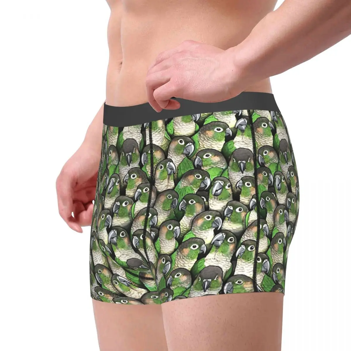 Green-cheeked Conures Underpants Breathbale Panties Male Underwear Print Shorts Boxer Briefs