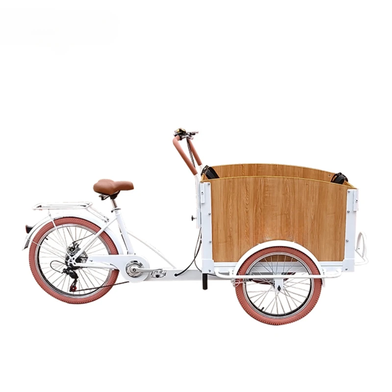 3 Wheel Electric Pedals Cargo Bike for Kids or Pets for Sale