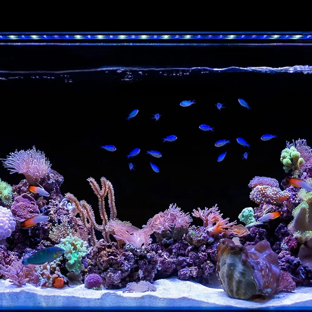 Marine IC Loop LED Saltwater Reef Marine Aquarium Light with Bluetooth App Control Wireless Lighting & eFlux Wave Pump Control