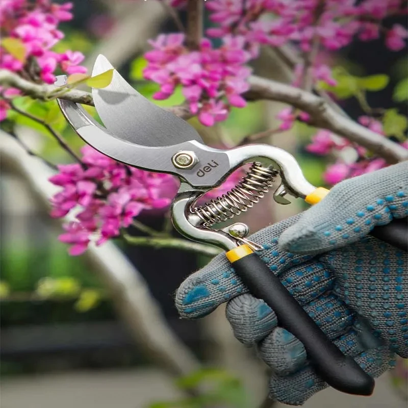 8 นิ้ว Garden Pruner กรรไกร SK5 ใบมีดกรรไกรตัดแต่งกิ่งสําหรับบอนไซผลไม้ต้นไม้ดอกไม้สาขาสวนพืชสวน Pruners