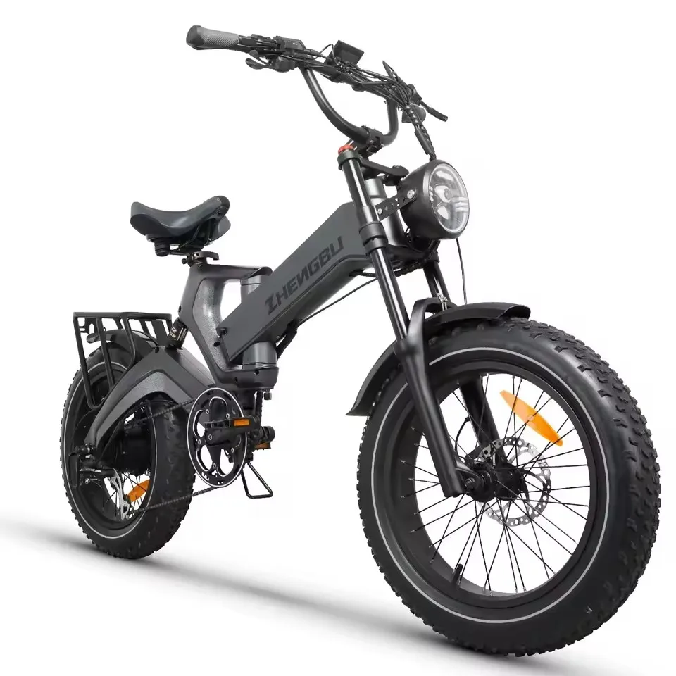 

1000W 48V 20AH Electric BIKE Electric Bicycle Folded Electric Bike Fat tire ebike Snow Electronic Mountain Bike