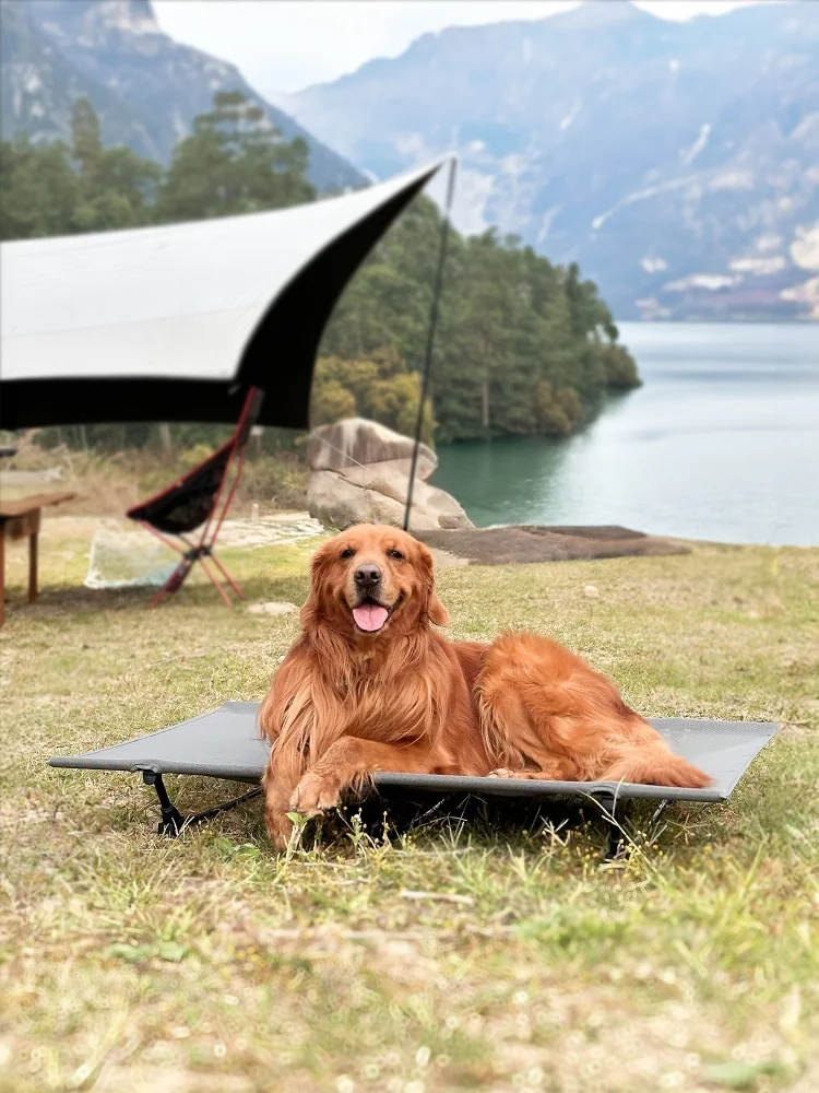 

Портативная лежанка для собак для дома и улицы, большая, цельная, моющаяся, летняя, дышащая, для маленьких и средних собак, коврик для питомцев