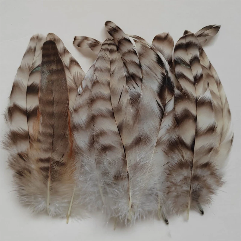 

100 шт./лот! 15-25 см COQUE TAIL FEATHERS Свободные/Grizzly переливающиеся королевские синие розы природа бирюза, украшение из перьев