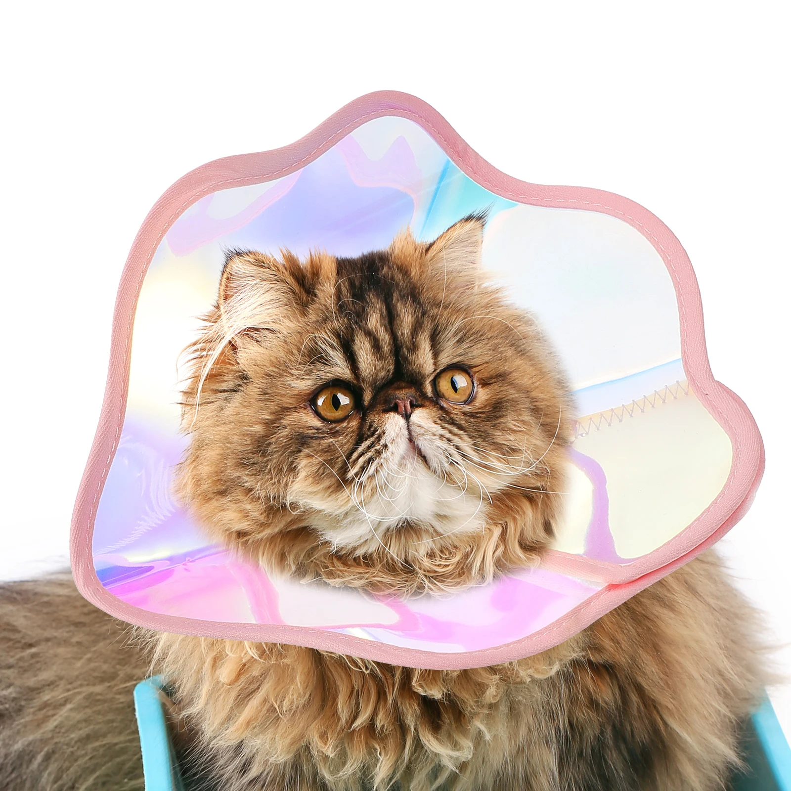 

Sticky Strap Cat Recovery Collar Reusable Waterproof Protective Cone For Wounds Lightweight Dog Pet Accessories After Surgery(S)