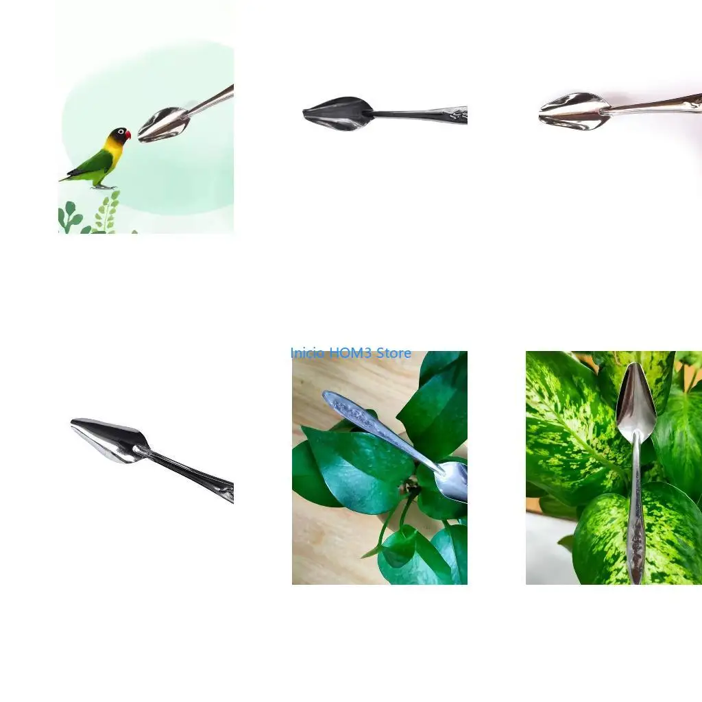 A5YD Bird Manual Feeding Spoon Stainless Steel Feed for Food Water Milk