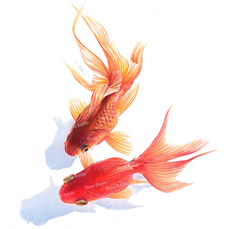 Three Ratels QL29 Hand-painted ink goldfish casual pastoral style art wall sticker waterproof toilet sticker