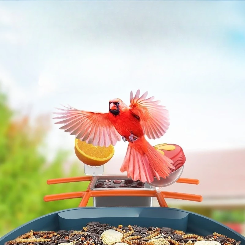 

new 2K HD Record Video Bird Camera Live with 5 DIY Add-ons Smart Bird Feeder with Camera Solar Powered, 64GB Card