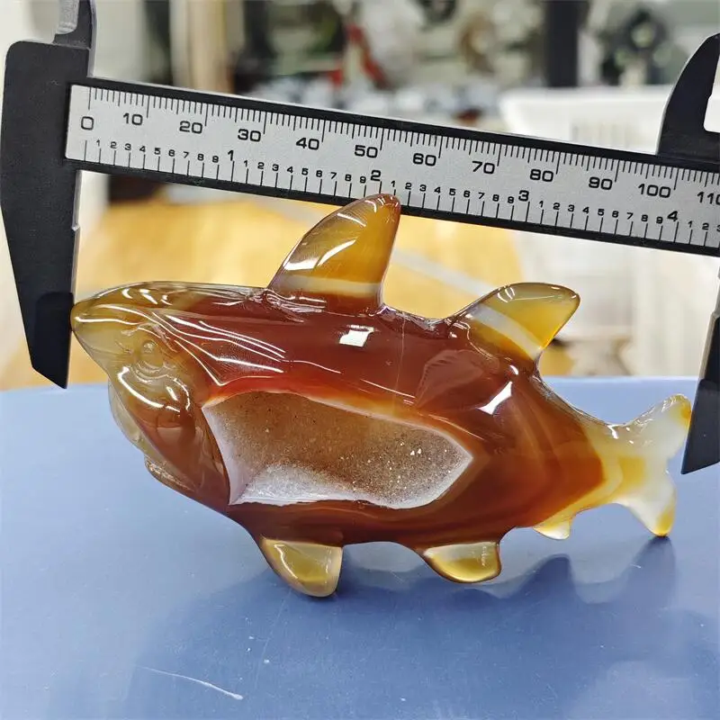Natural Agate Geode Shark Carving Healing Fengshui Stone Gemstones Home Decoration Holiday Gift 1PCS