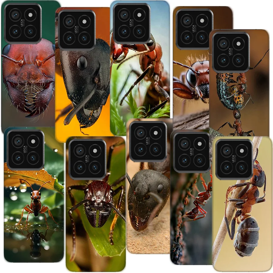 Coque de tlphone transparente avec fourmis de feu rouges, fourmis de travail, pour Xiaomi Poco F7 Ultra F6 F5 X7 X6 Pro F3 X5 X4 F4 X3 GT M6 M5 M5S M4 M3 F2 F1 Cov