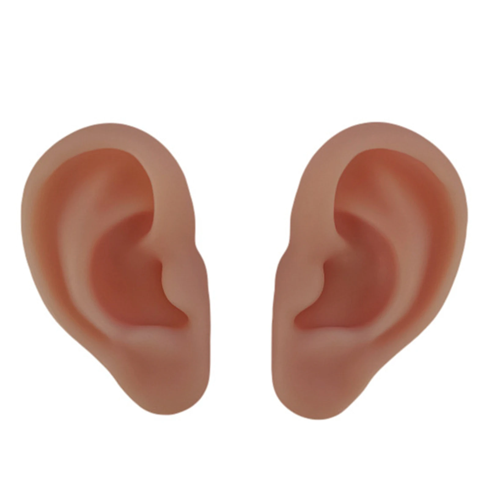 

1:1 Ear Model Highly Simulated Soft Silicone Imitation Real Right and Left Ear Acupuncture Practice