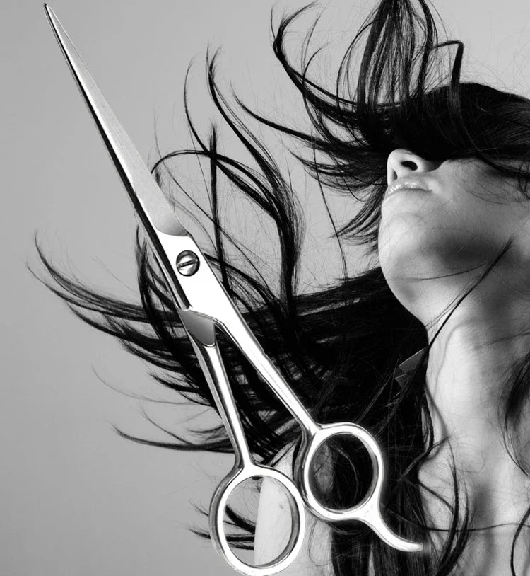 Professionelle Friseurscheren aus Edelstahl Haarschneidescheren für Salon Friseure Haarstylisten – Detail 1