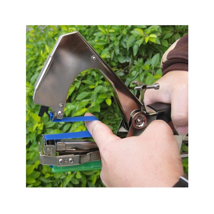 

Хит продаж: Машина для подвязки томатных лоз, устройство для подвязки ветвей, машина для подвязки огурцов, инструменты для подвязки растений в саду и на огороде