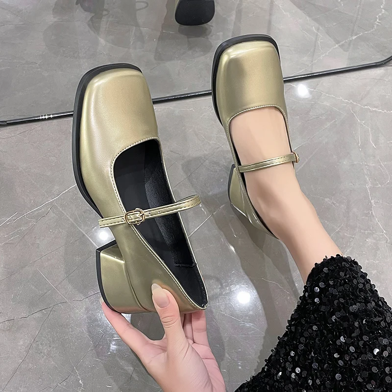 

High Heels Shoes Female 2024 Spring New Fashion Fairy Wind French Mary Jane Shoes Women Square Toed Buckle Simple Platform Pumps