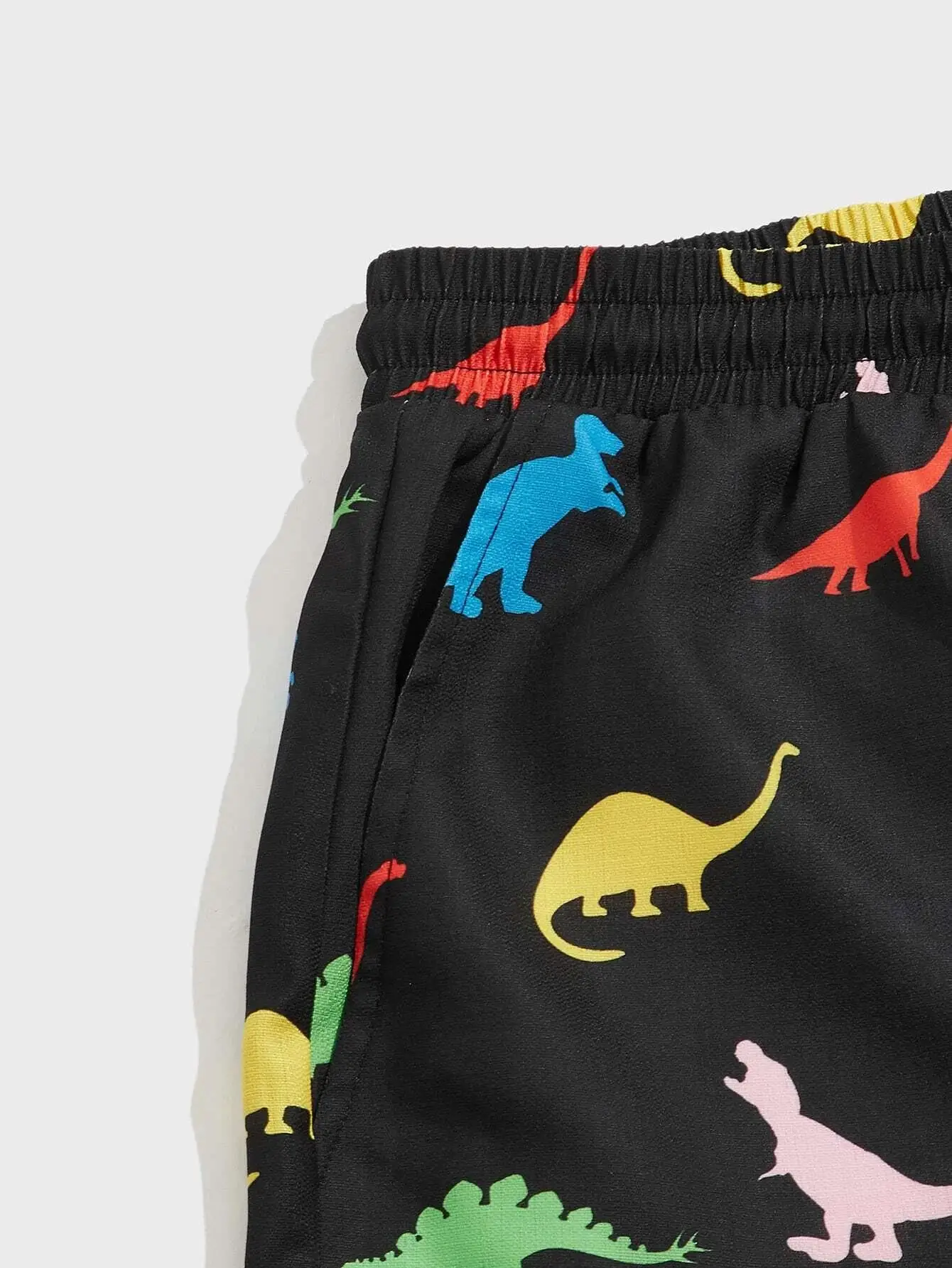 Men\'s beach shorts Dinosaur pattern 3D Printed  Board Summer Swim Trunks Elastic Waist Drawstring Hawaiian Style