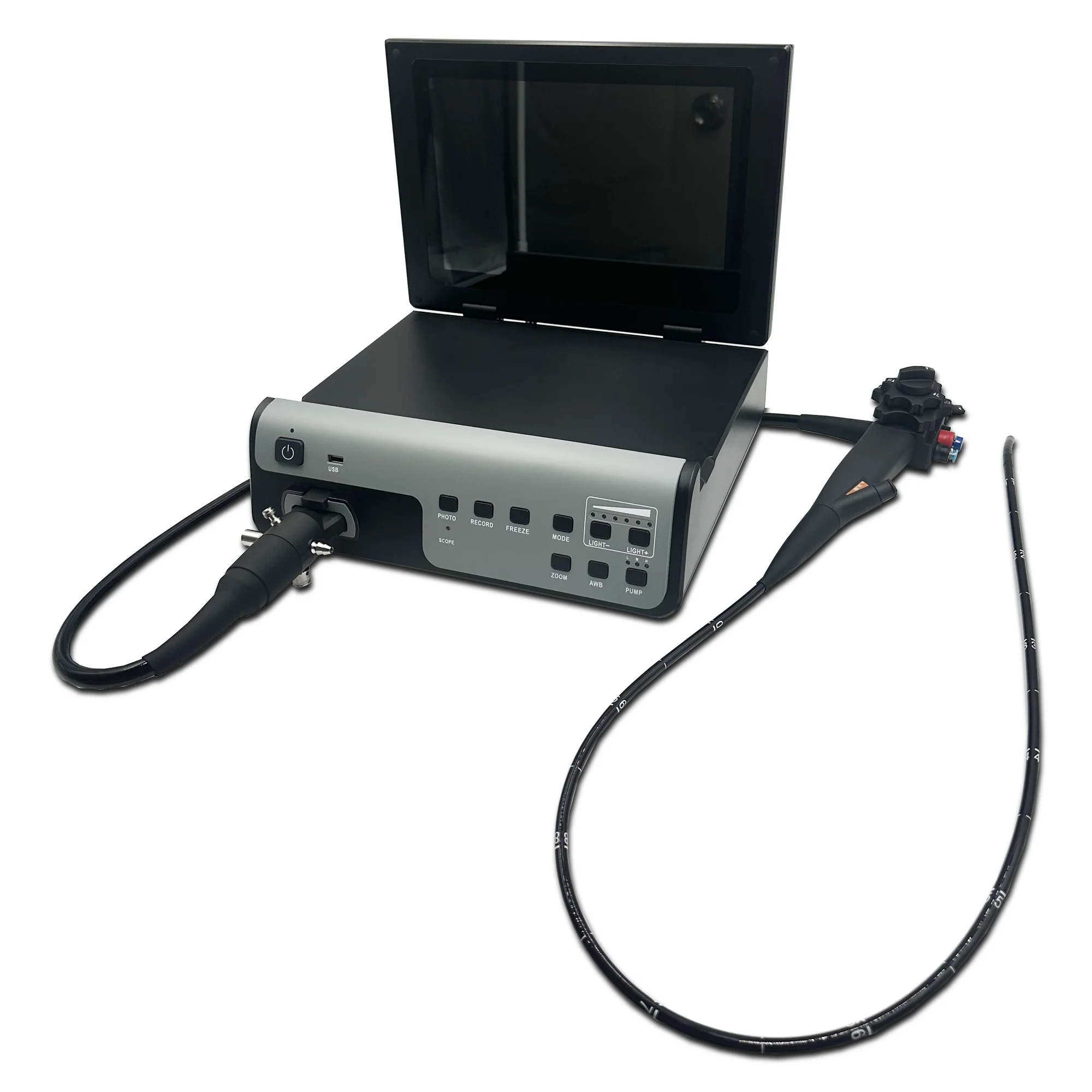 Factory Direct Sale Four-way 7.0 mm 9.5 mm Gastroscope and Colonoscopy Endoscopy System Veterinary Endoscope