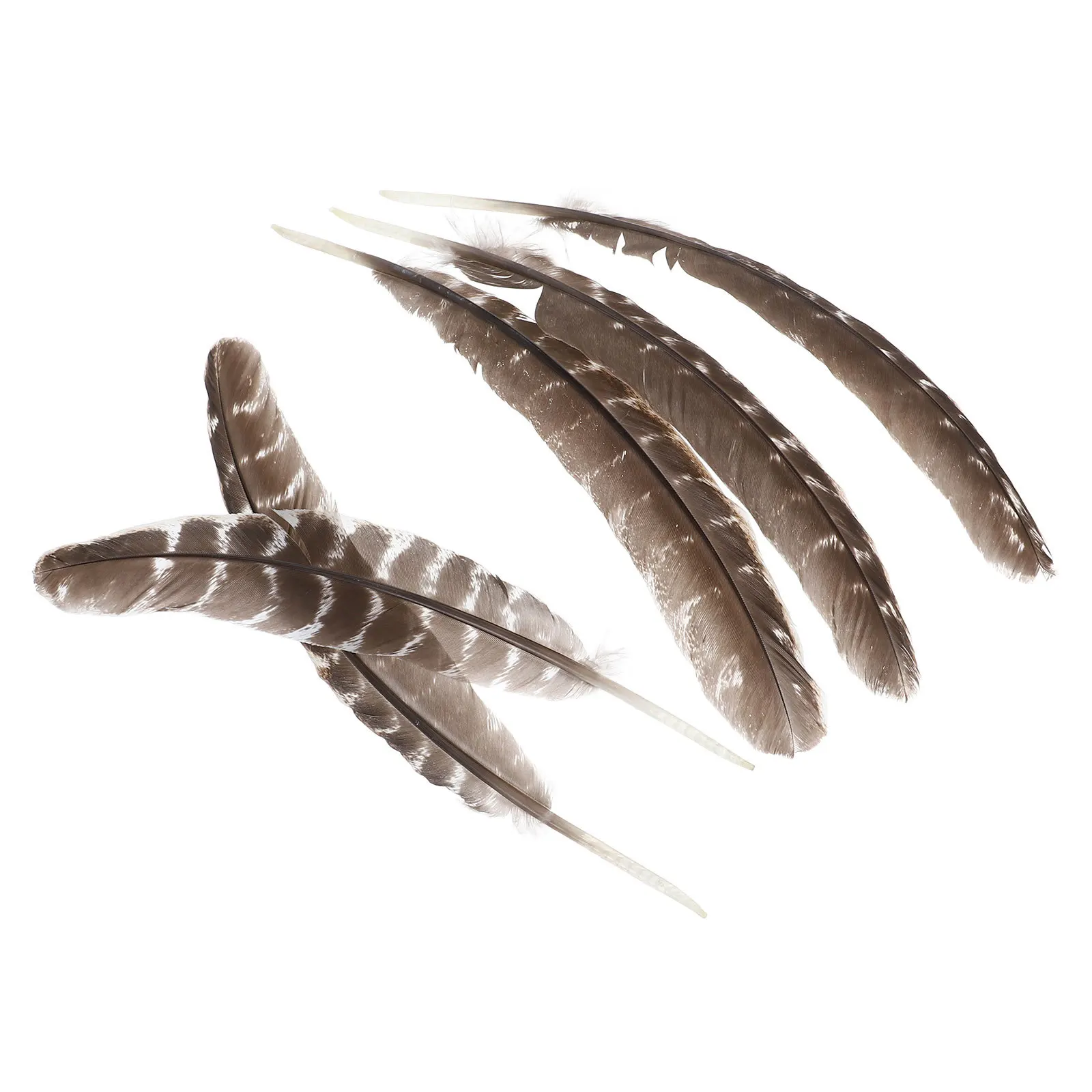 

5Pcs Decorative Plumes Material for DIY Craft Projects Home Office Wedding Decoration Vivid Plume Making Decor Plume Props Set