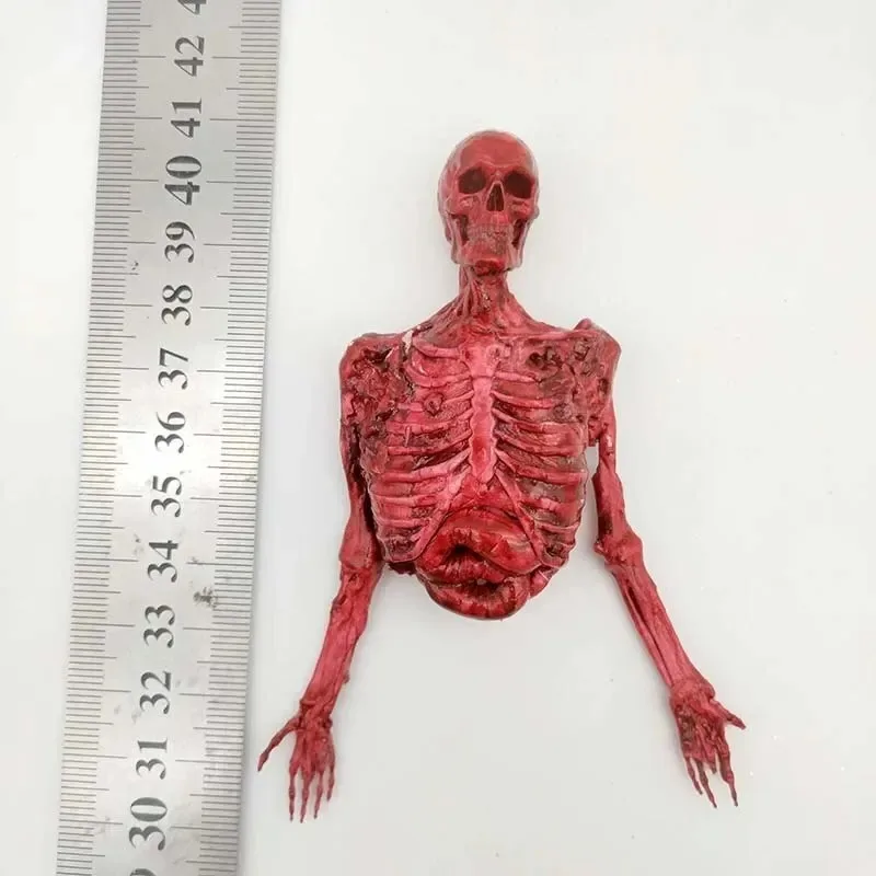 

HandPainted 1/12 Scale Human Skeleton Half-body Flesh Blood Skeleton Model Action Figure Toy