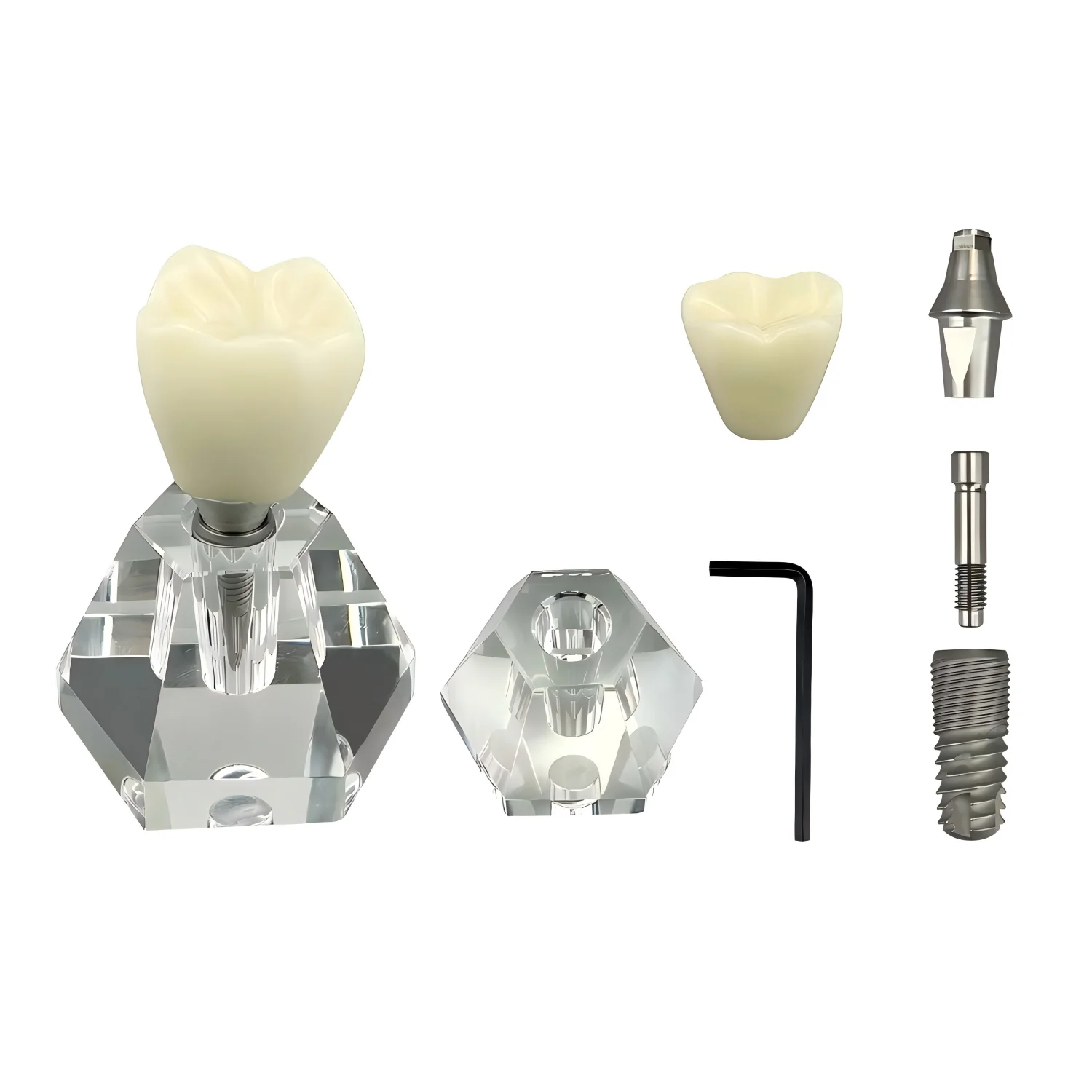 

Стоматологическая модель Учебная модель полости рта Модель практики имплантации Учебное пособие по зубам Модель связи для врачей-пастоматологов Стоматологическая модель