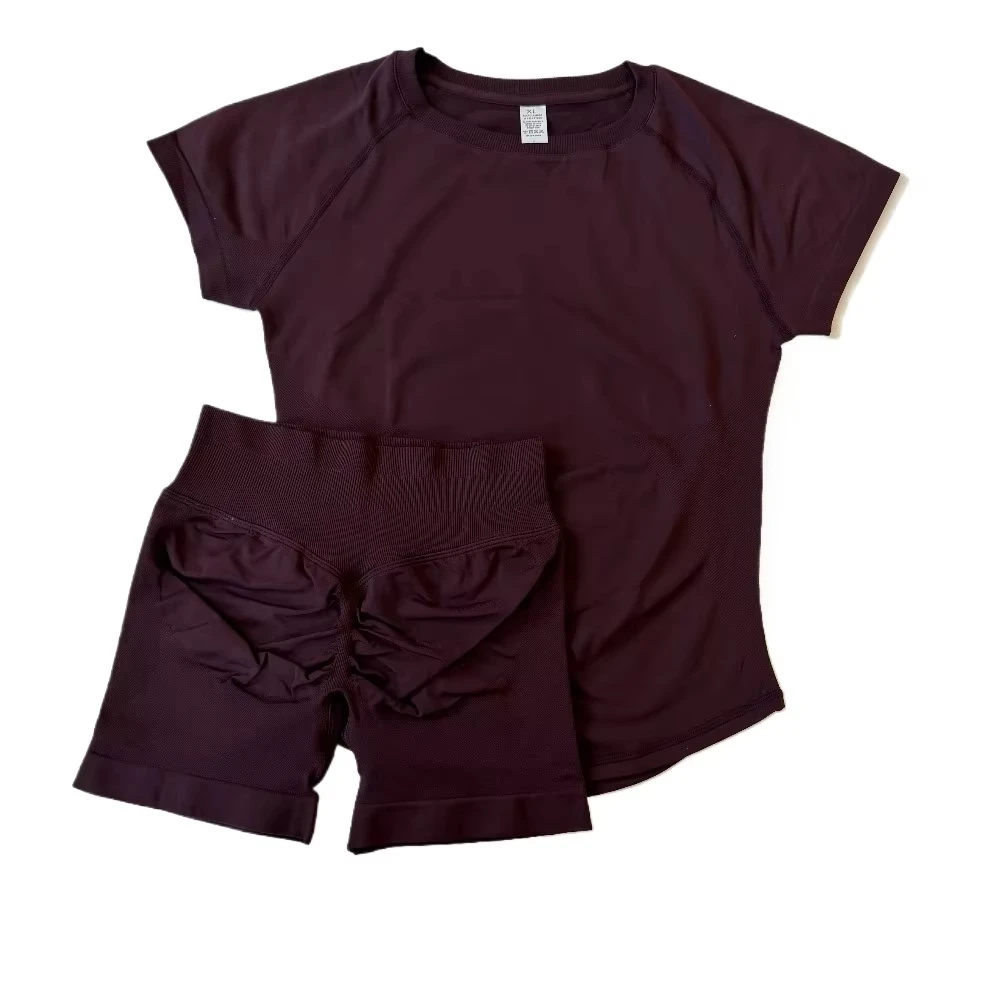 

2 Piece Impact Short Sleeve Top for Women Workout Gym Crop Top Light Weight Yoga Top high Ribbed Waist Band Yoga Shorts