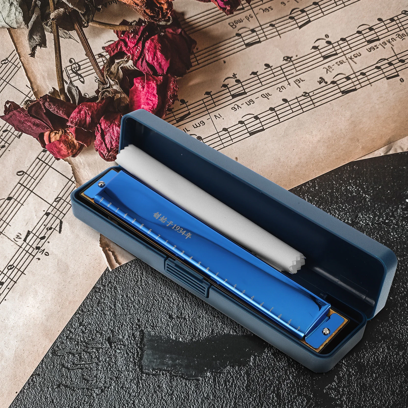 

Blues Portable Harmonica Aldult Harmonicas Stainless Steel Musical Instruments