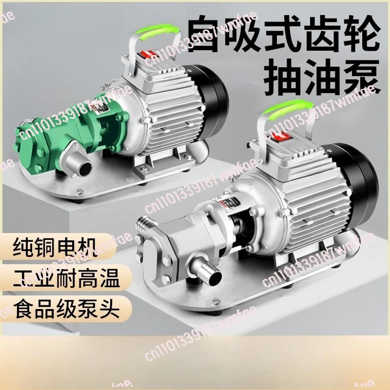 Gear Electric Transfer Pump 220V 380V Self Priming Stainless Steel High Viscosity Explosion Proof