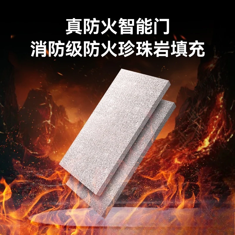 Fire door integrated smart door AI dual camera anti-theft entry door