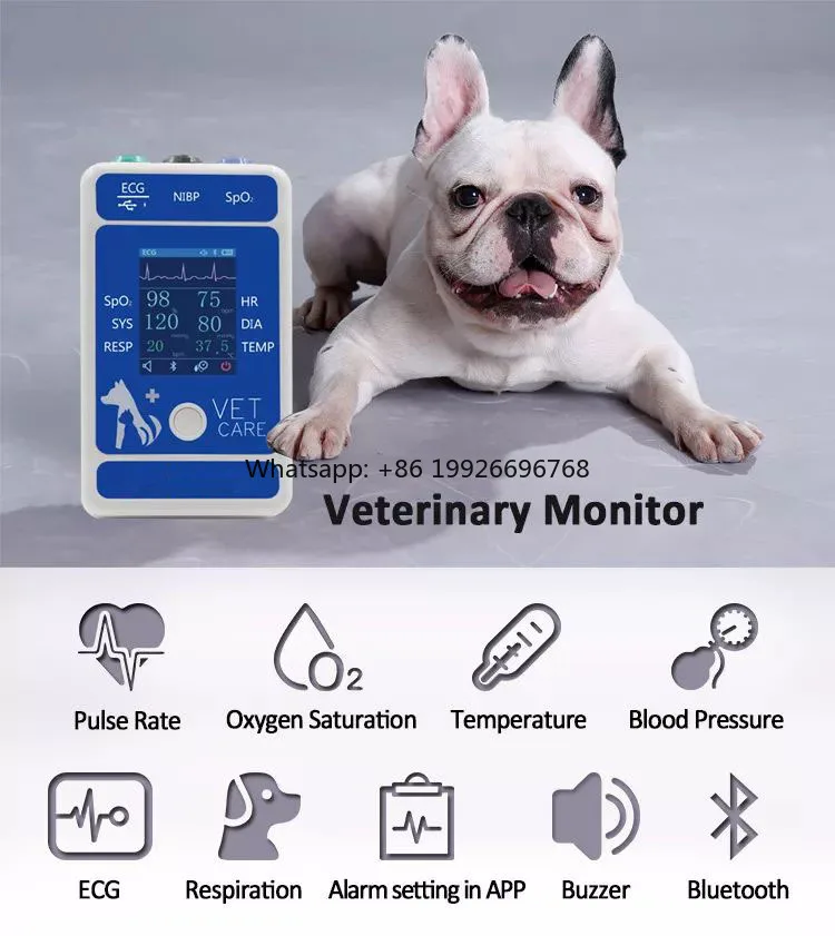 

6 Multiparameter Veterinary Clinic Animal Blue Tooth BLE ital Sins EG Use Medical Vet Health Equipment manufacturer