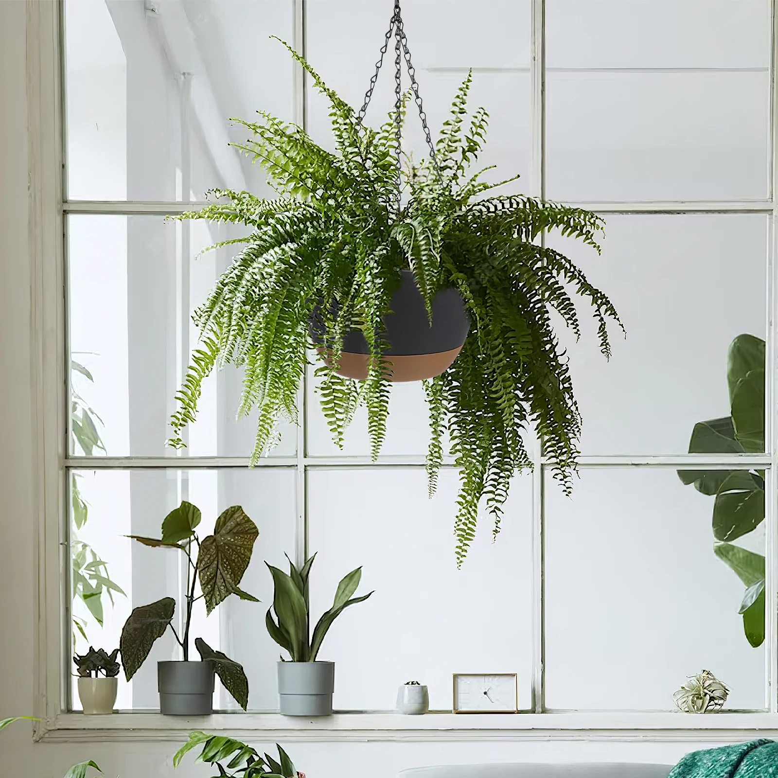 

Planters For Indoor Outdoor Plants Wall Plant Holder With Water Tray Sturdy Lightweight Space-Saving Hanging Flower Baskets