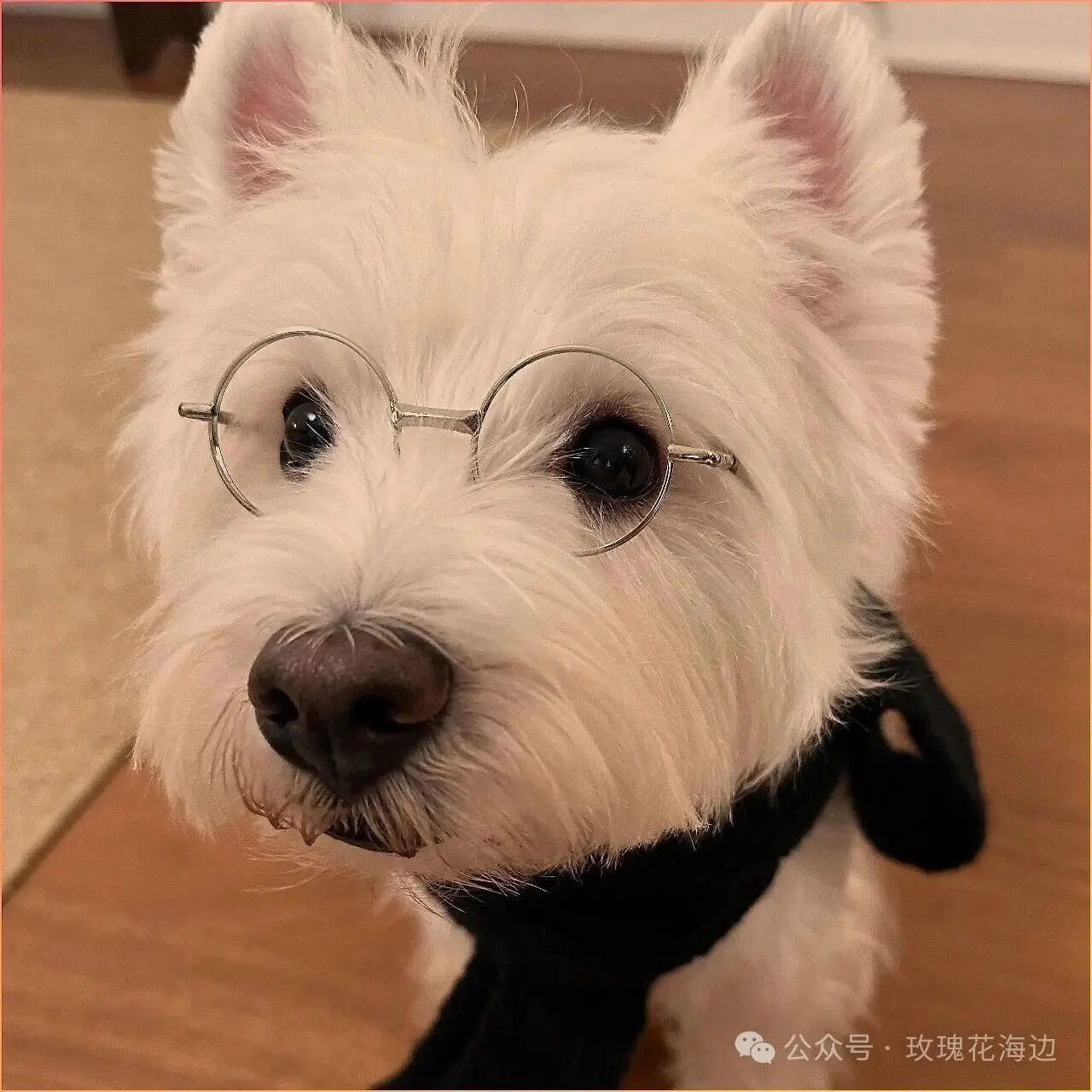 

Набор DQUARTZ GO 50 мл: Нанокварцевое керамическое покрытие Diamond Quartz Fusion для ухода за автомобилем, улучшенная защита, повышение блеска, увеличение твердости поверхности