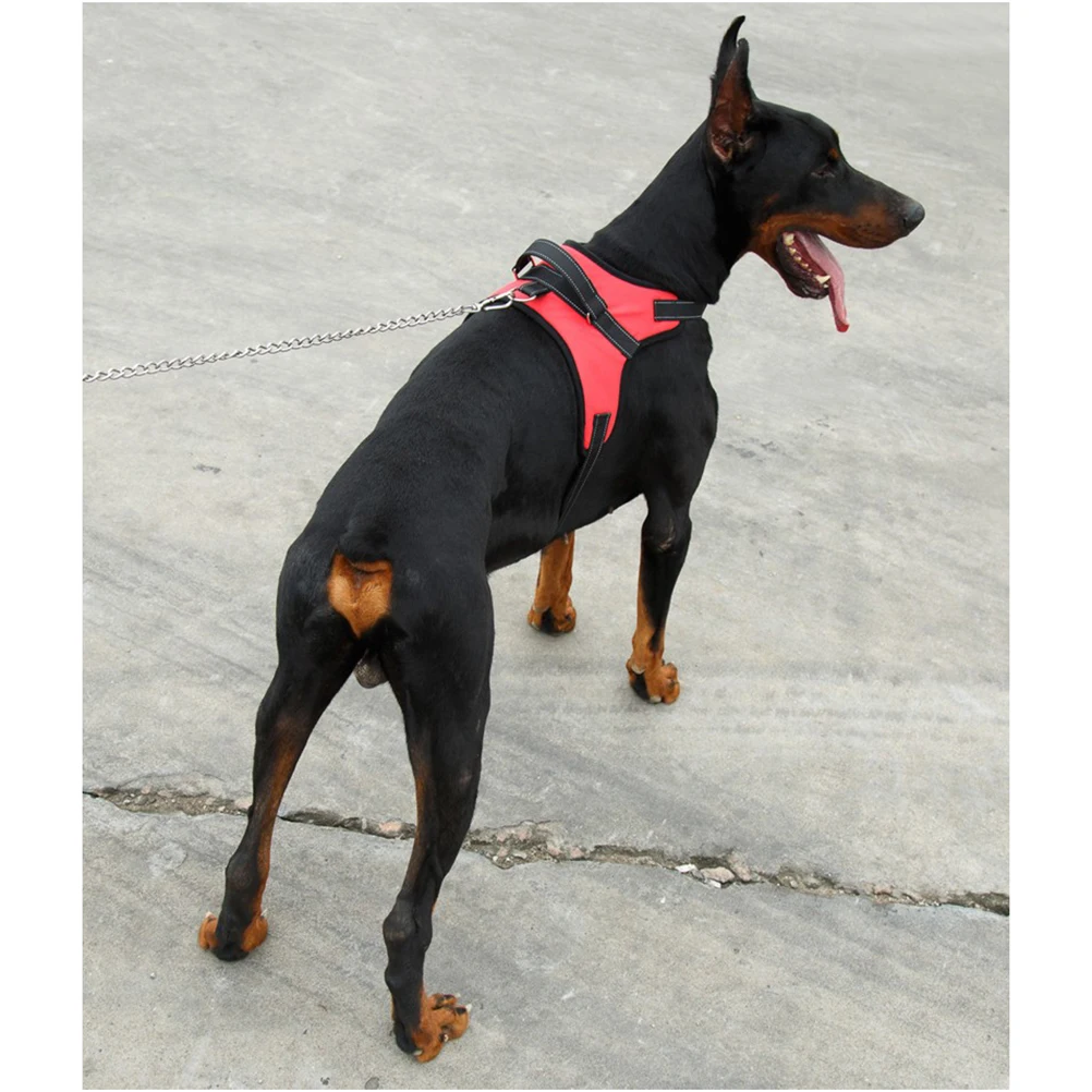 

Pet Harness Saddle Type for Medium Big Dogs Durable Oxford Cloth Red M Size Quick Release Buckle Steel D Ring Comfortable