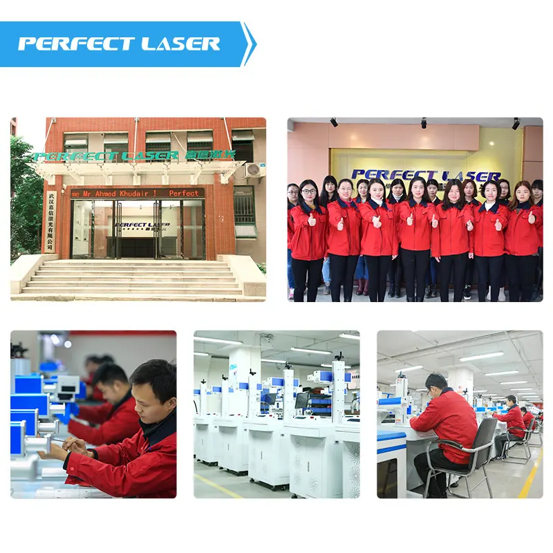 Perfect Laser-Portable Handheld Optical Fiber Laser Printing Marker Marking Machine for Glasses/Car Chassis/Steel Equipment