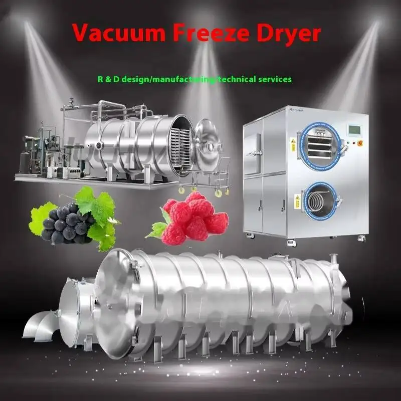 Seaweed Vegetable Tomato Egg Drop Soup Drying Equipment Instant Food Freeze Dryer Fully Automatic Freeze-drying Machine