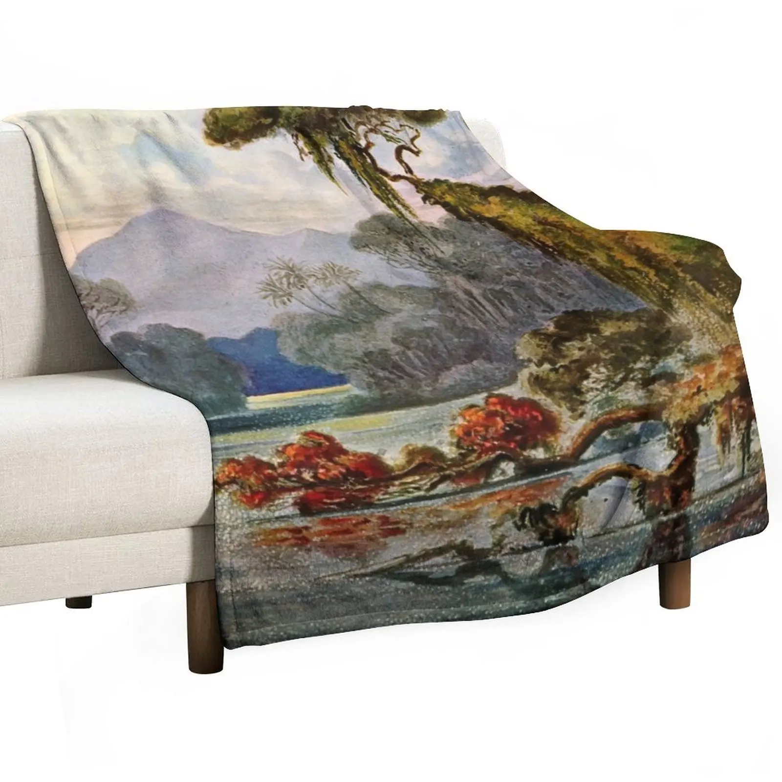 

Haeckel Ceylon Jungle River-Ernst Haeckel Throw Blanket Giant Sofa Luxury Throw Blankets