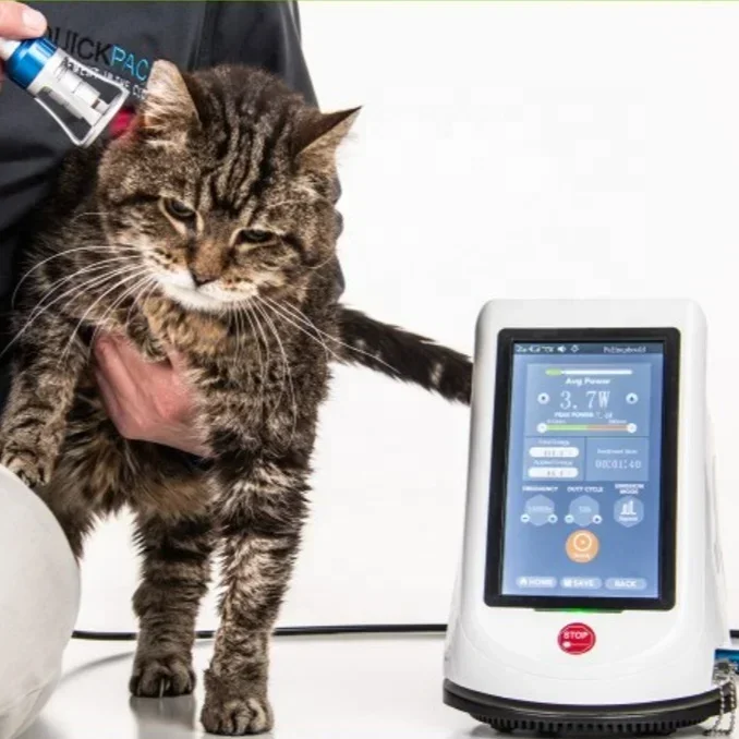 Portable New Animal veterinary laser therapy Surgery device tissue cut laser for animals vet