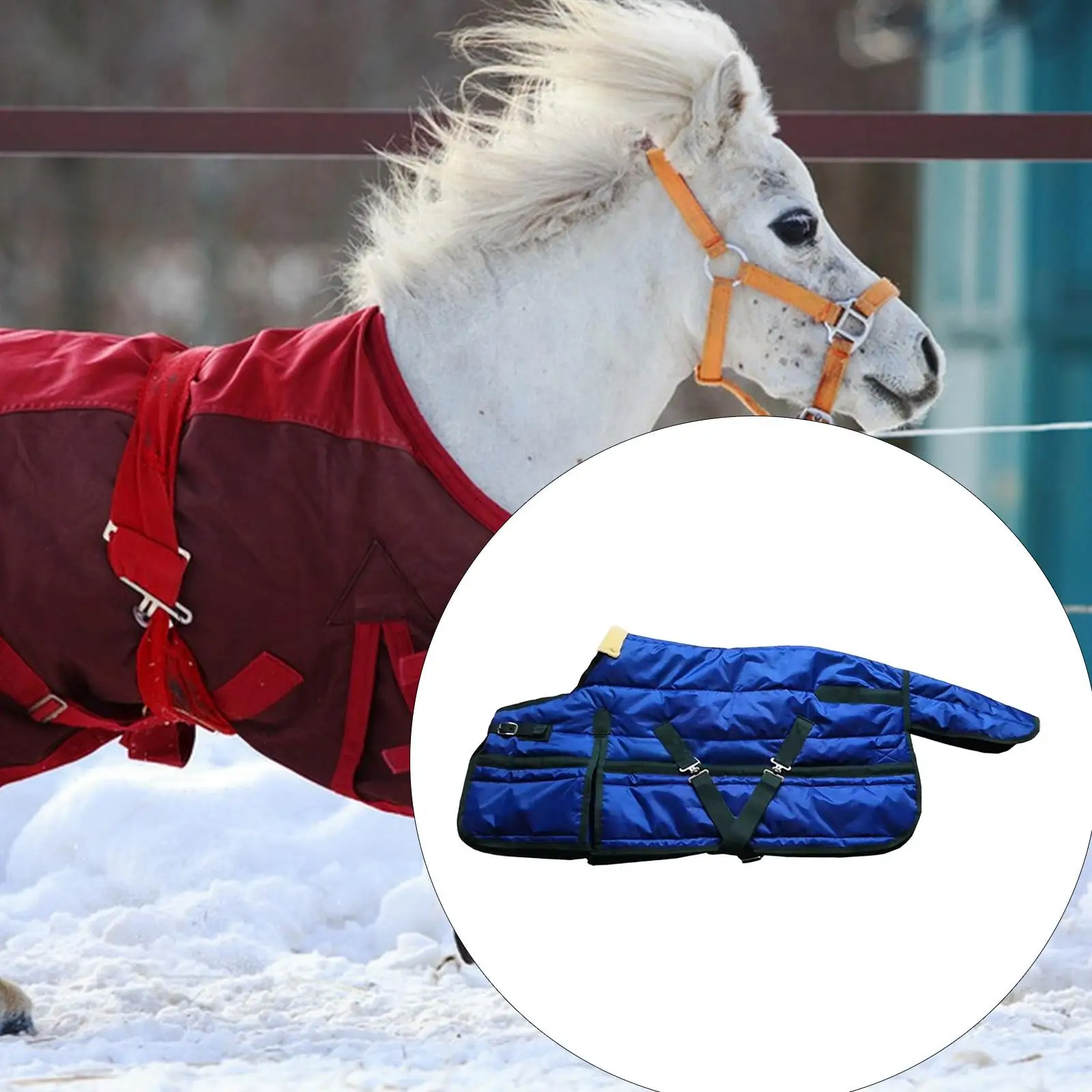 بطانية الحصان، ملابس مقاومة للتمزق، الطقس البارد، عزل، مقاوم للرياح، ملابس الحصان، ورقة العناية بالخيول #3
