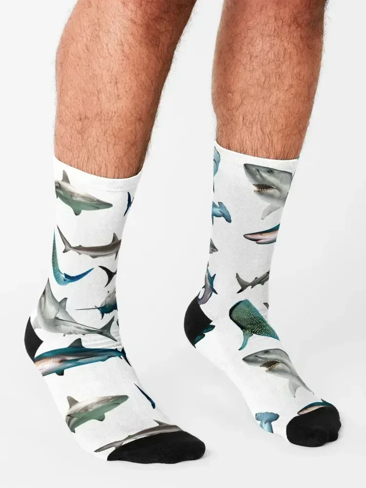 Sharks Socks Non-slip floor japanese fashion Stockings Men Socks Luxury Brand Women's