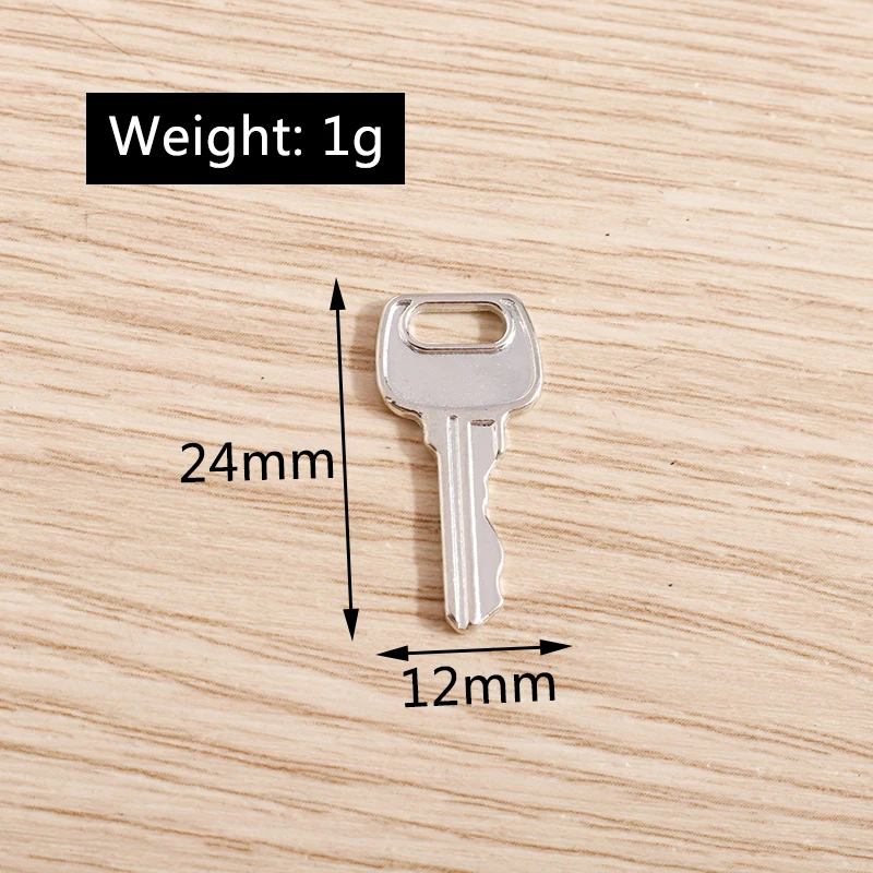 20 Stück 12x24mm 2 Farben Niedliche Legierungs-Schlüsselanhänger für Schmuckherstellung, Halsketten, Ohrringe, Armbänder, DIY-Bastelzubehör – Detail 1