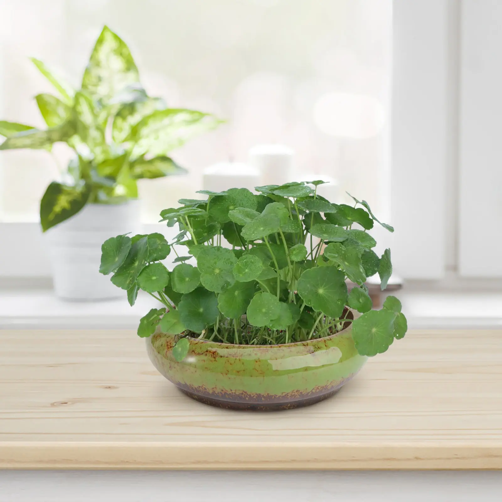 1Pcs Premium Ceramic Flower Pot Hydroponic Design for Succulents Indoor Outdoor Decor Desktop Garden Balcony Office Living Room