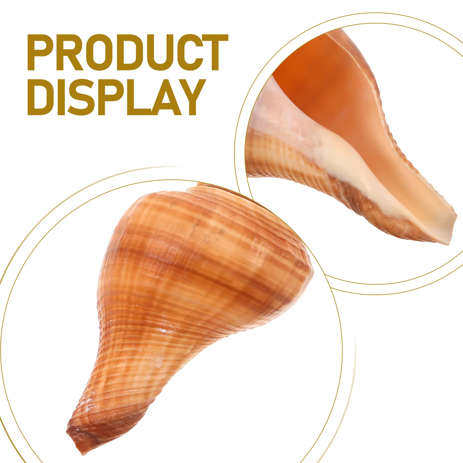 Sifflets de conque naturelle en forme de coquille, 5 pièces, pour Camping en plein air, randonnée, entraînement, forte d'urgence, appel marin Portable, cadeaux