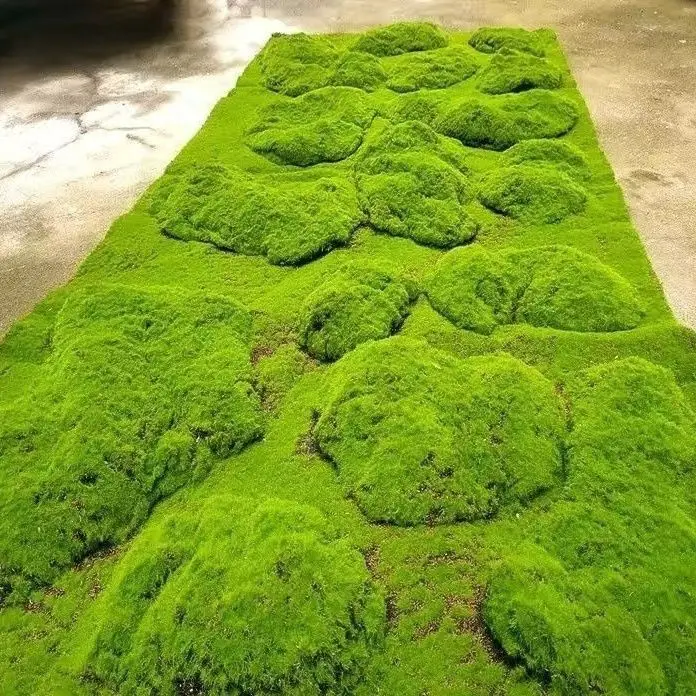 Simulated Moss Garden Decoration Moss Green Plants Lawn Photography Environment Decoration DIY Artificial Grass Flocking Factory