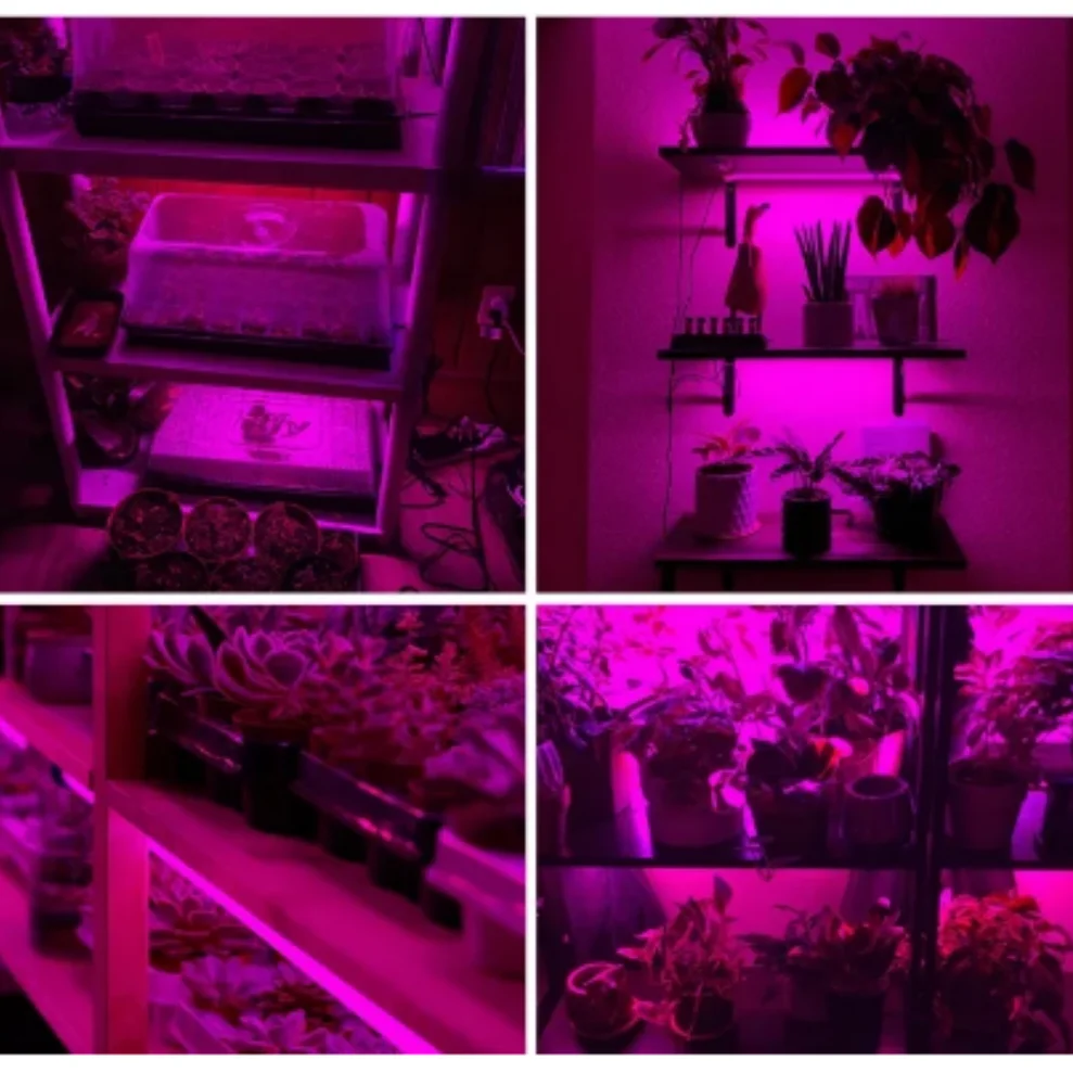 USB 5V LED Plant Grow Light Full Spectrum Lamp Blue Red Indoor Greenhouse for Plants Flowers Vegetable Hydroponic Bar Light