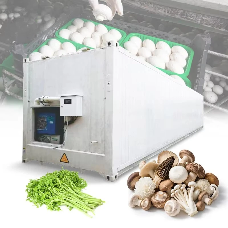 20ft 40ft Shipping Container Barley Fodder Growing System Automatic Hydroponic Growing Room for Farm Livestock Feed