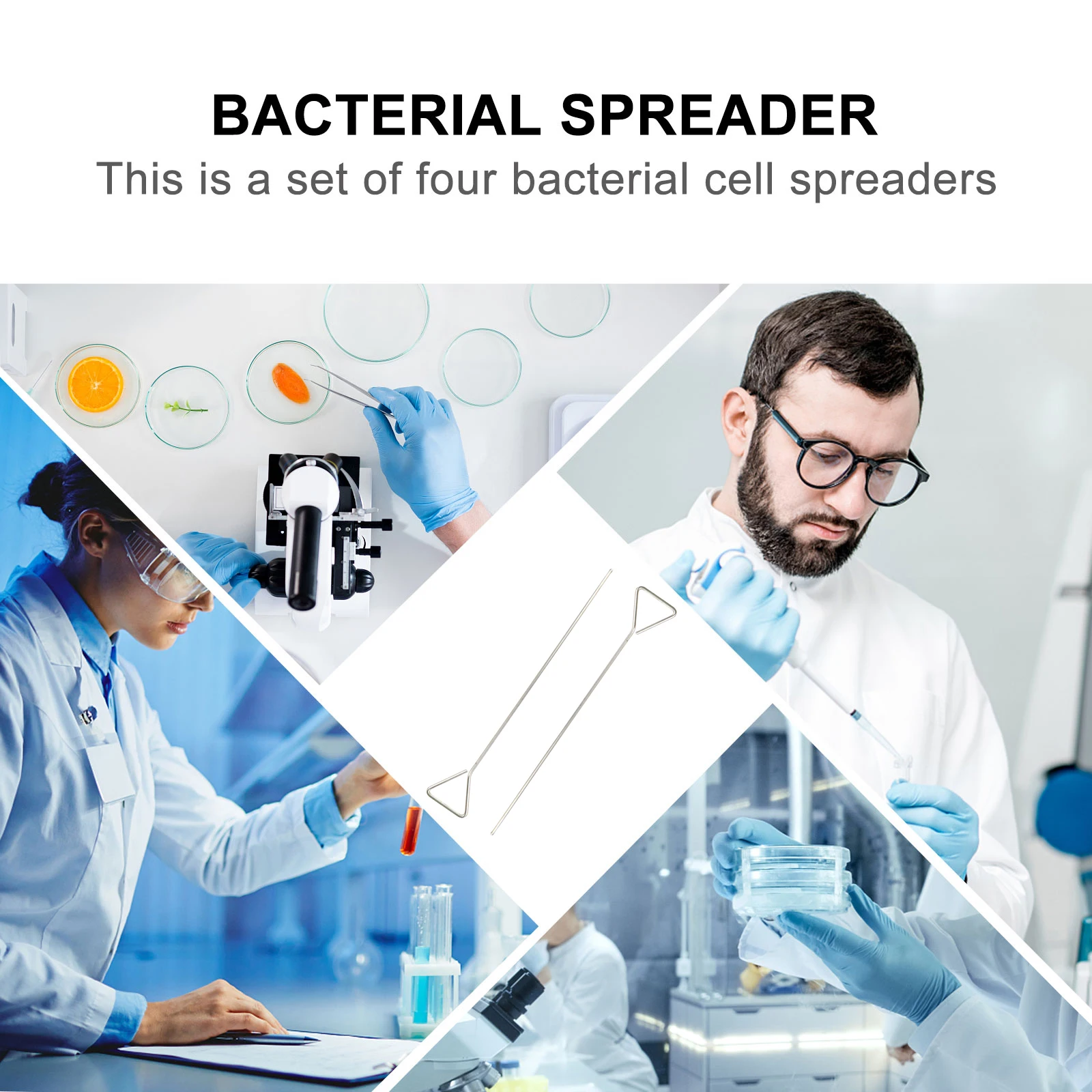 

2pcs Stainless Steel Cell Bacterial Spreading For Laboratory Culture Use Golden Metal Science Tool Smooth Surface