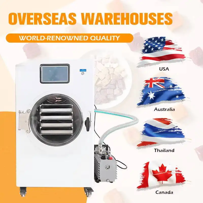 Commercial 6Kg 8Kg 10Kg 12Kg Home Mini Freeze Dryer No Oil Pump Drying Hine Lyophilizer Price For Candy Food Fruit Vegetable